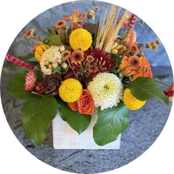 squarebox line drawing of small flower arrangement 6 x 8 inches