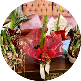 Amaryllis01 medium flowers by the bay arrangement with sunflowers, red roses and purple flowers