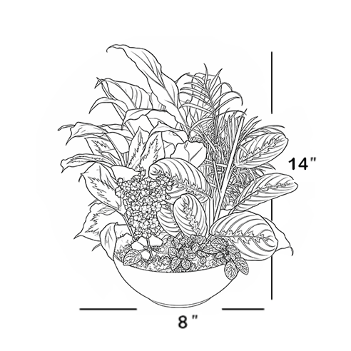 homepage-order-dishgarden line drawing of flower arrangement xtra large